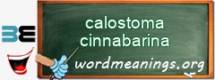 WordMeaning blackboard for calostoma cinnabarina